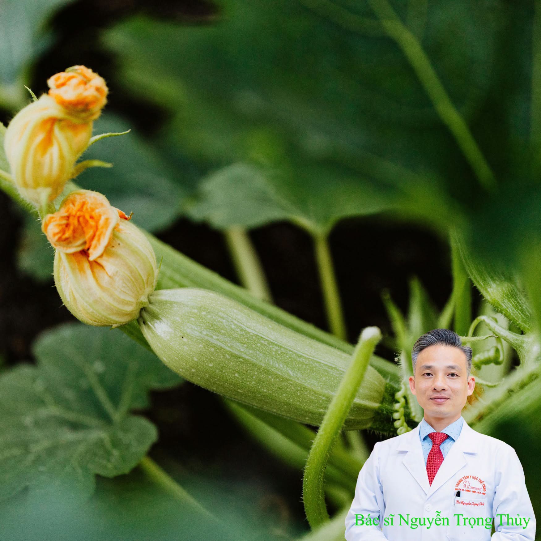 Ăn Bí Ngòi Nhiều Có Tác Dụng Gì? Những Lợi Ích Đối Với Sức Khỏe Và Những Điều Cần Lưu Ý