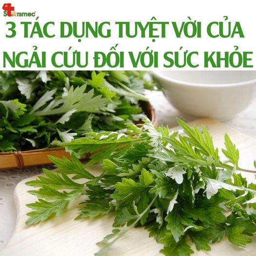 3 Tác dụng tuyệt vời của cây NGẢI CỨU đối với SỨC KHỎE