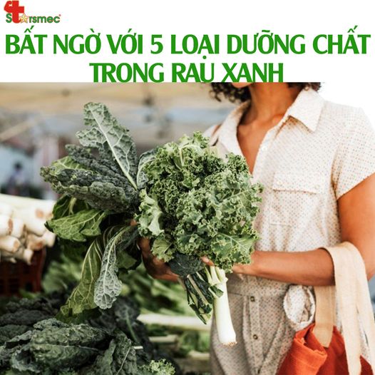 Bất ngờ với 5 loại DƯỠNG CHẤT trong RAU XANH