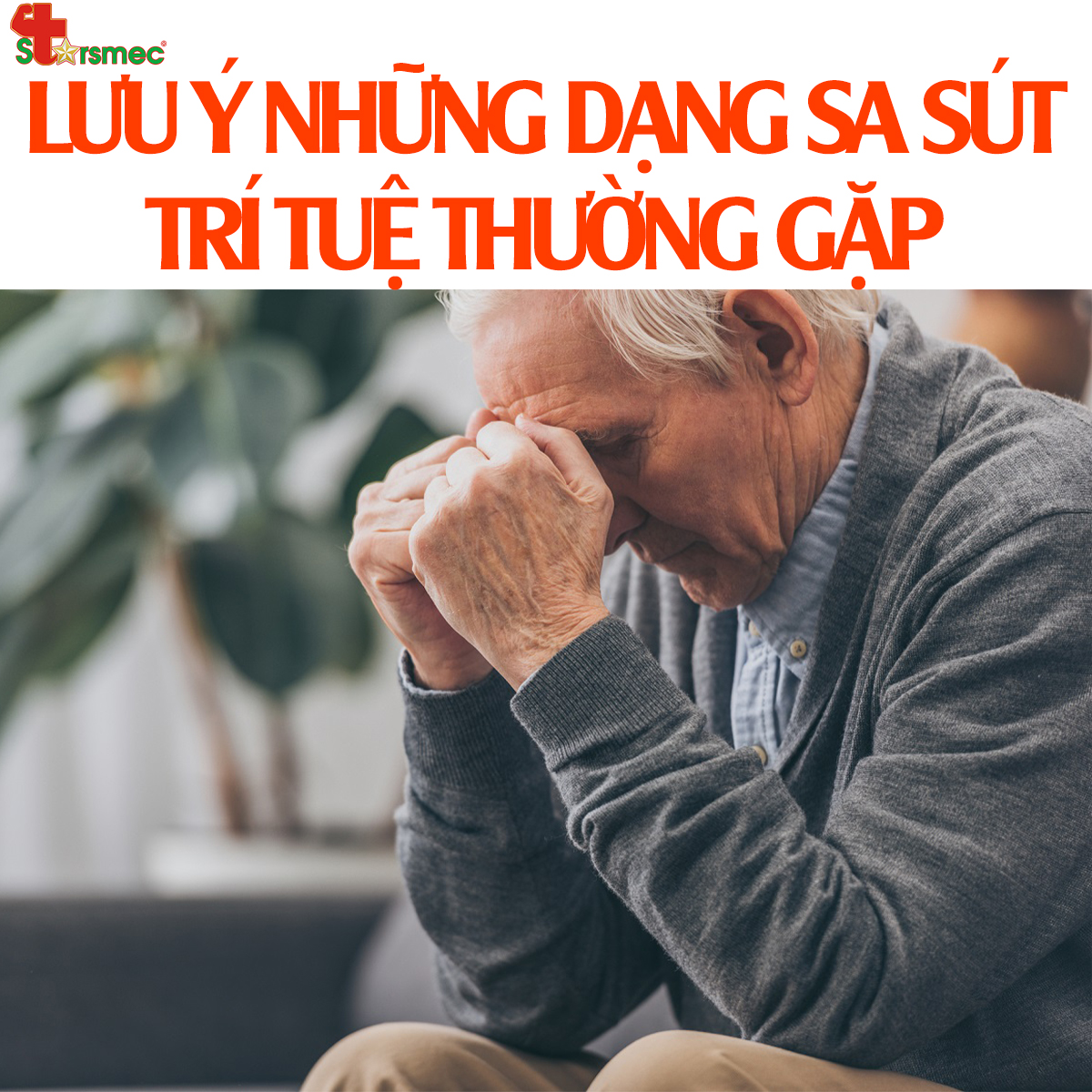 Lưu ý những dạng SA SÚT TRÍ TUỆ thường gặp