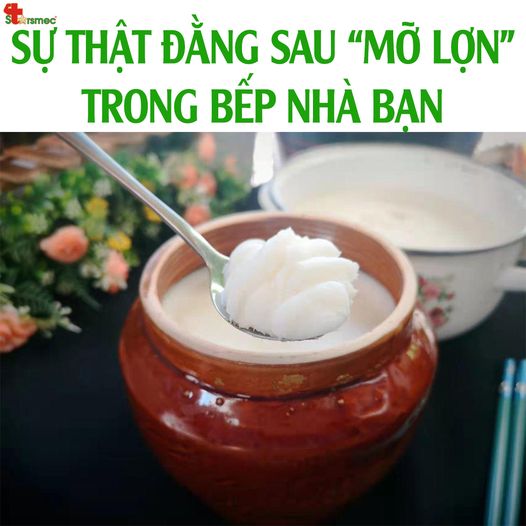 Sự thật đằng sau "MỠ LỢN" trong bếp nhà bạn