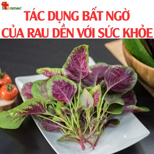 Tác dụng của RAU DỀN đối với sức khỏe - Bổ máu hơn cả thịt bò