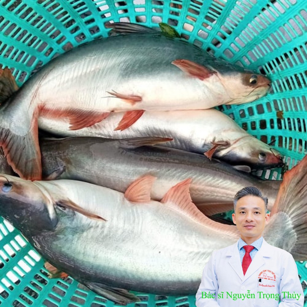 Cá tra – Món ăn quen thuộc nhưng lợi ích sức khỏe khiến nhiều người bất ngờ