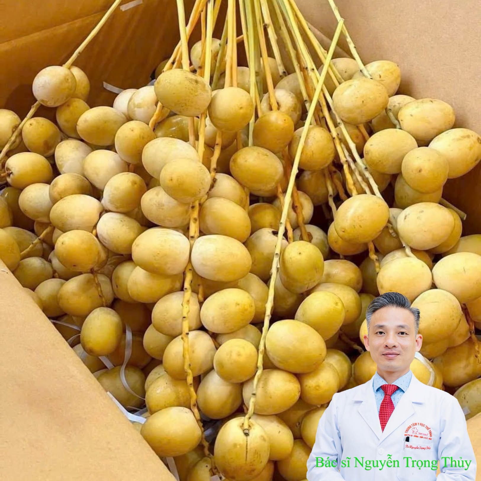 5 Lợi Ích Của Chà Là Tươi Đối Với Sức Khỏe Bạn Nên Biết
