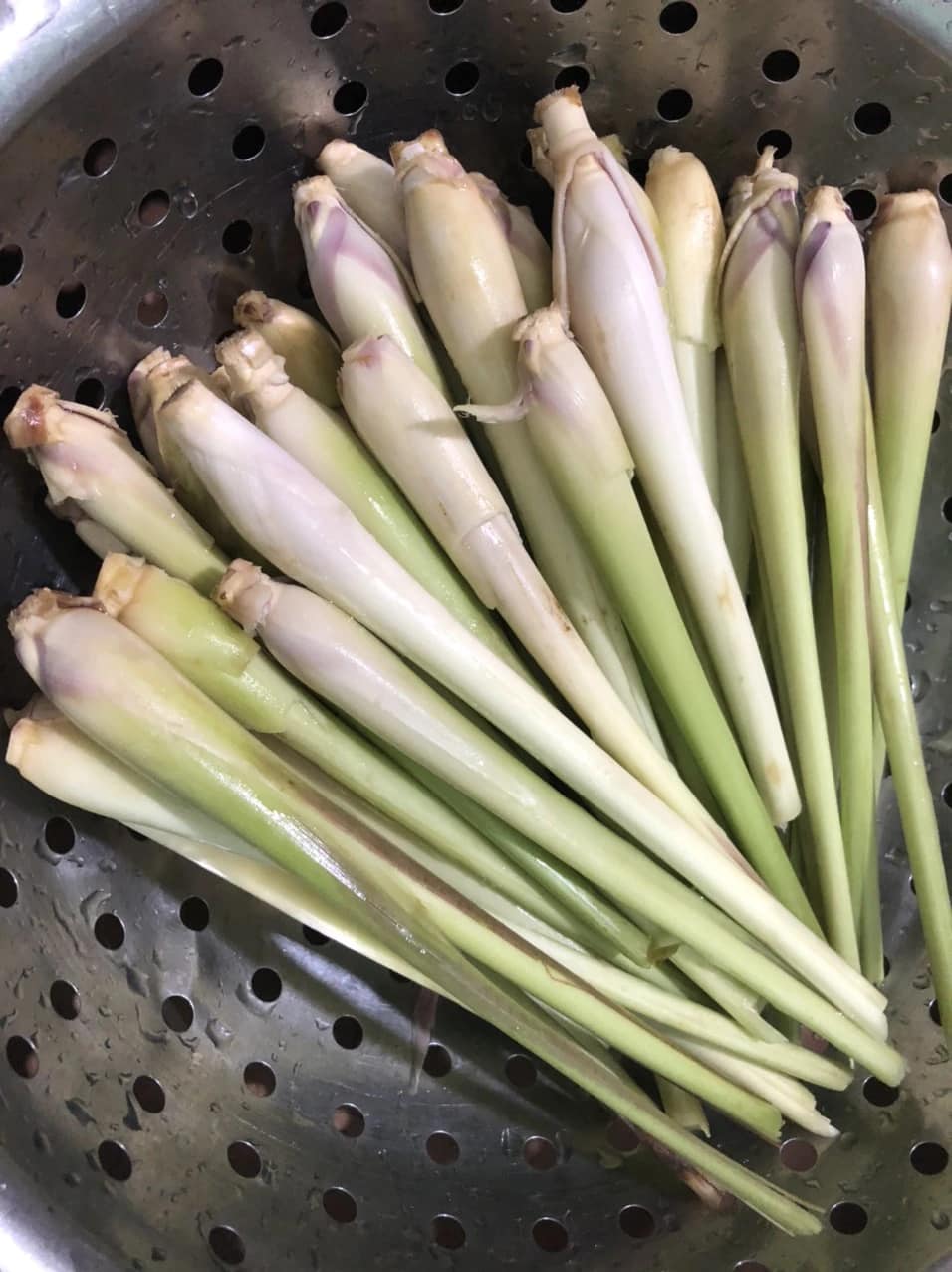 Củ sả mang lại lợi ích tuyệt vời gì?