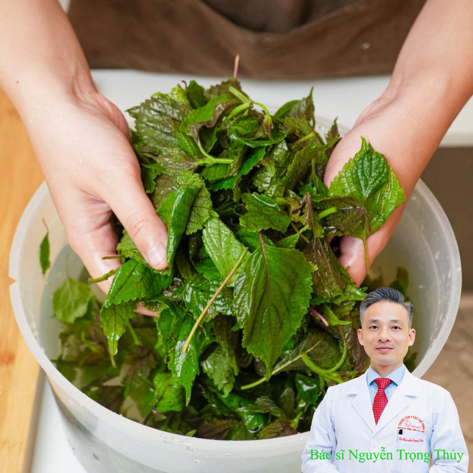 Tía Tô Chanh Có Tác Dụng Gì? 5 Lợi Ích Nổi Bật Với Sức Khỏe, Không Phải Ai Cũng Nên Dùng