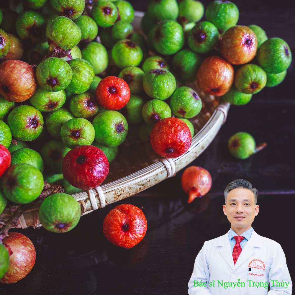 Ăn sung có tốt cho sức khỏe không? Sự thật, lợi ích và những điều cần biết