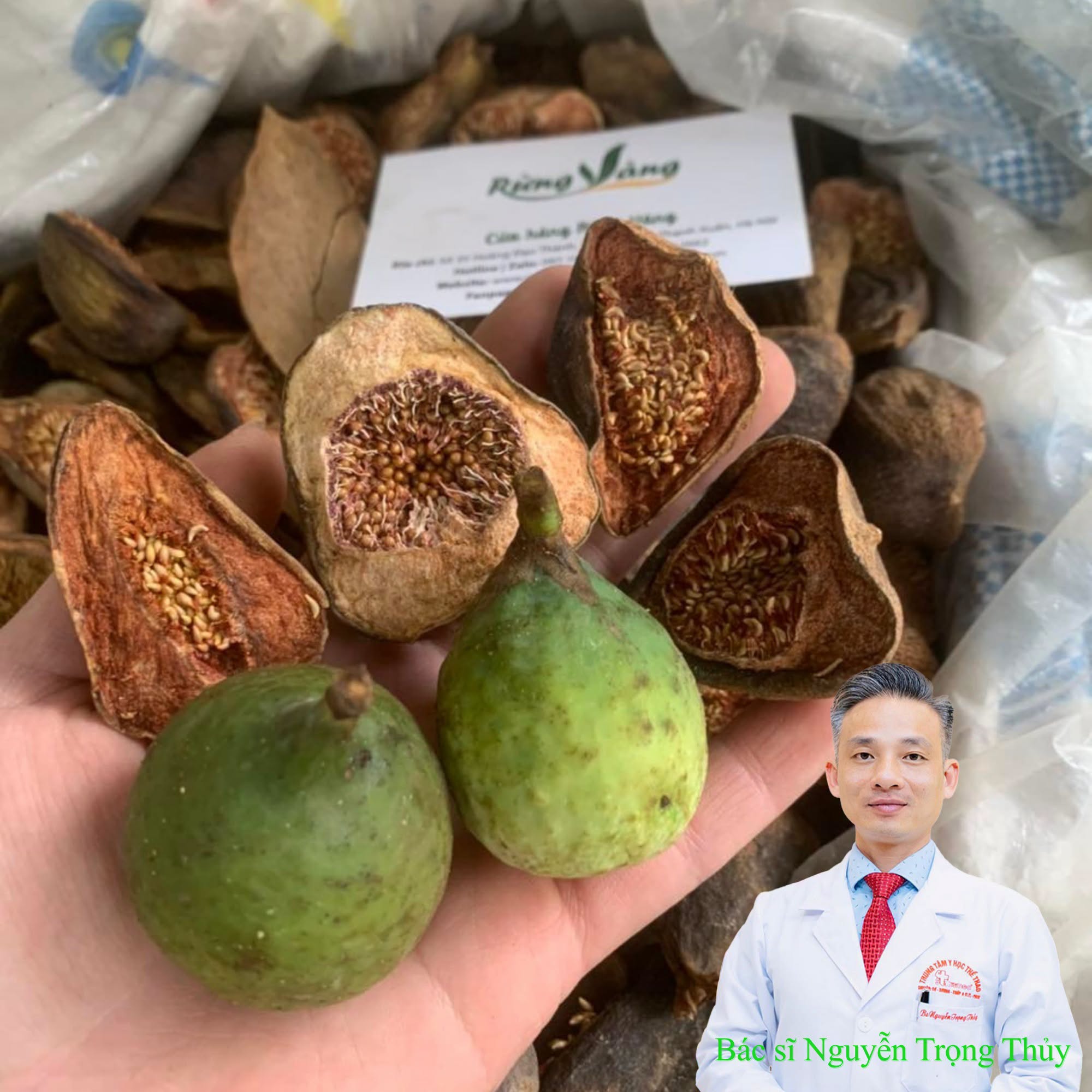 Quả Trâu Cổ Có Tác Dụng Gì? Những Điều Cần Biết Trước Khi Sử Dụng