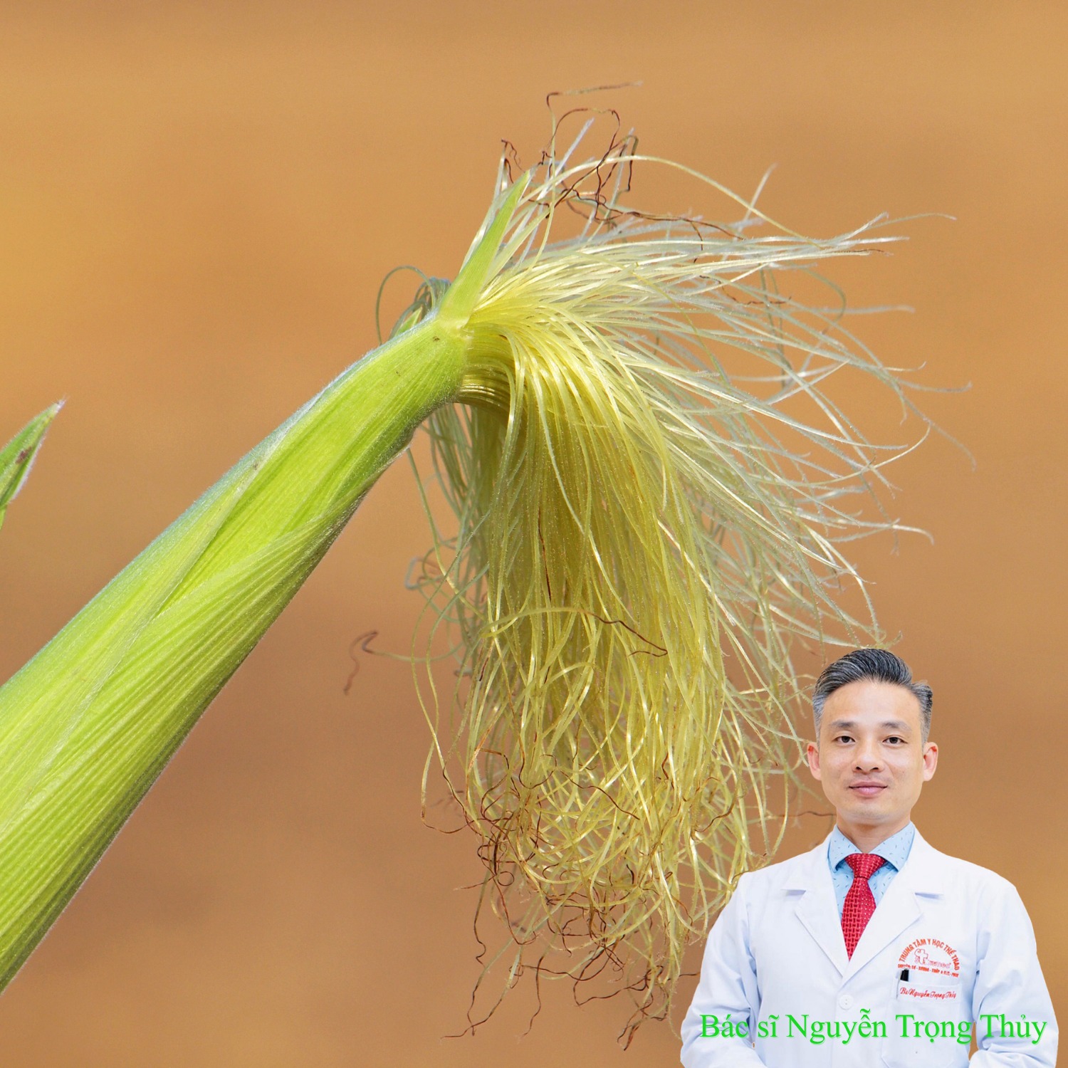 Râu Ngô Có Tác Dụng Gì? Những Lợi Ích Với Sức Khỏe Nhiều Người Chưa Biết