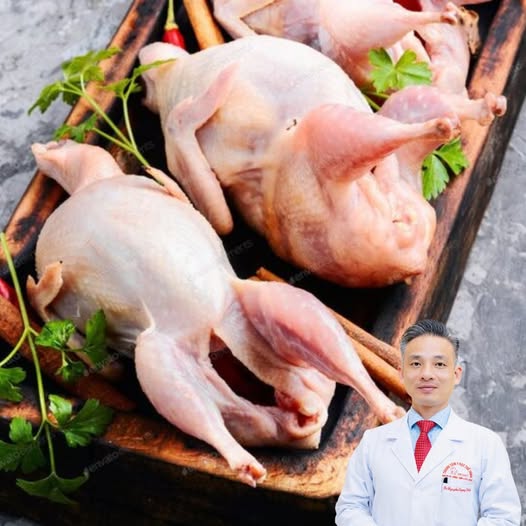 Thịt CHIM BỔ CÂU - Thực phẩm bổ gấp 9 lần thịt gà