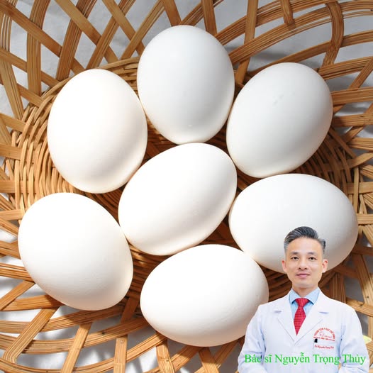 Trứng Thường Hay Trứng Vịt Lộn Bổ Hơn? Không Phải Cứ Nhiều Dinh Dưỡng Là Tốt